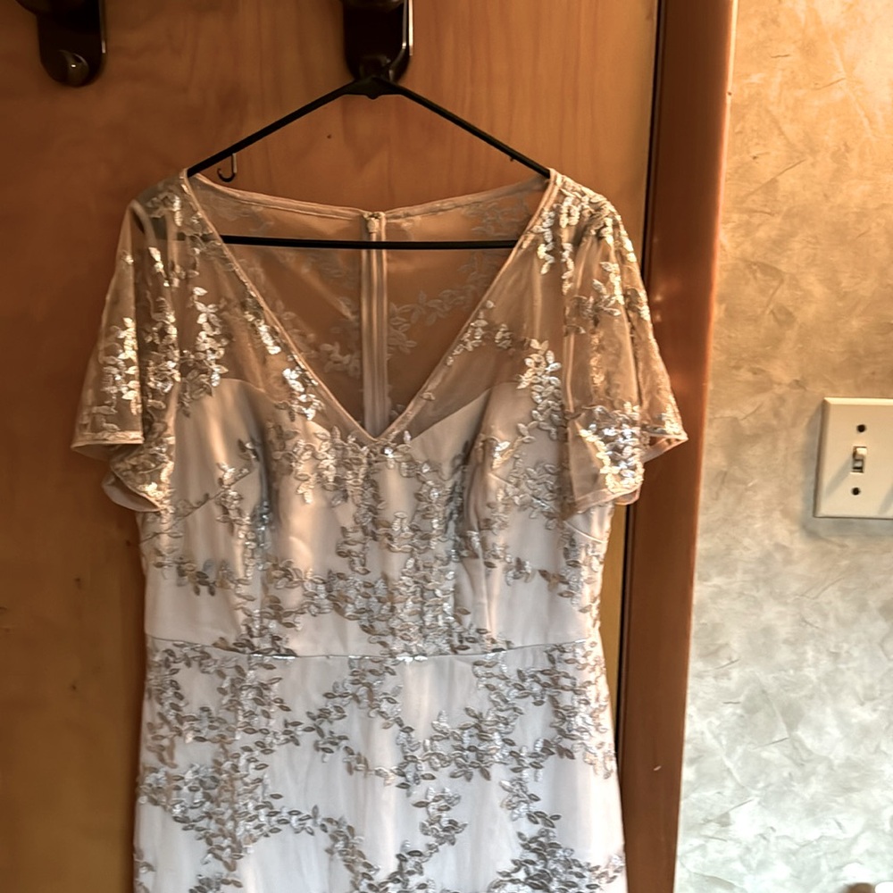 Adrianna Papell gown